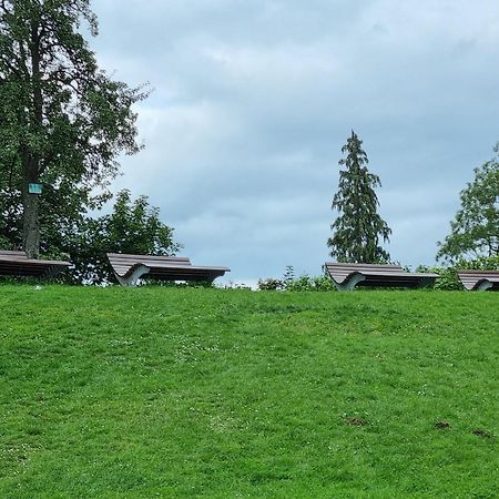 Fewo Zur Alten Tischlerei Herzberg am Harz Exteriör bild
