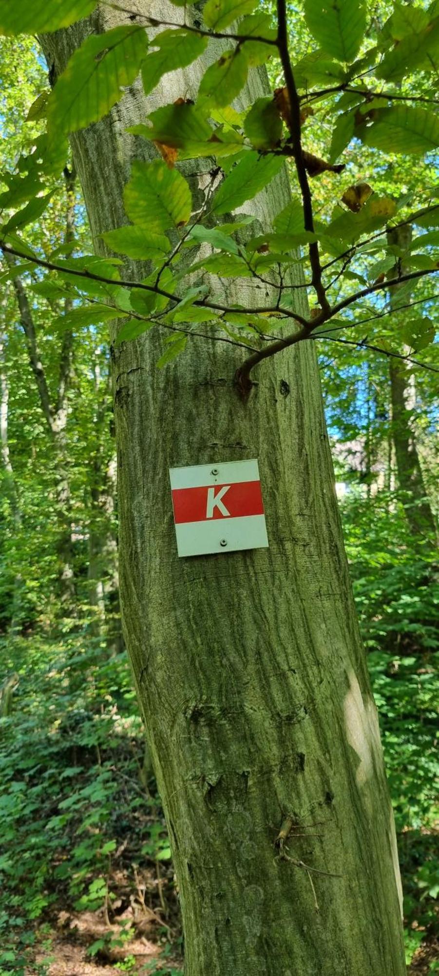 Fewo Zur Alten Tischlerei Herzberg am Harz Exteriör bild
