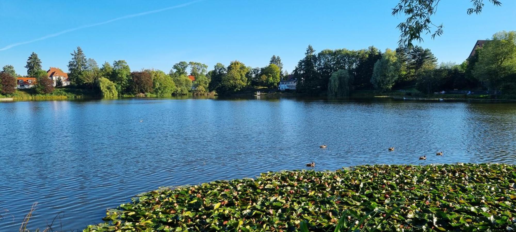 Fewo Zur Alten Tischlerei Herzberg am Harz Exteriör bild