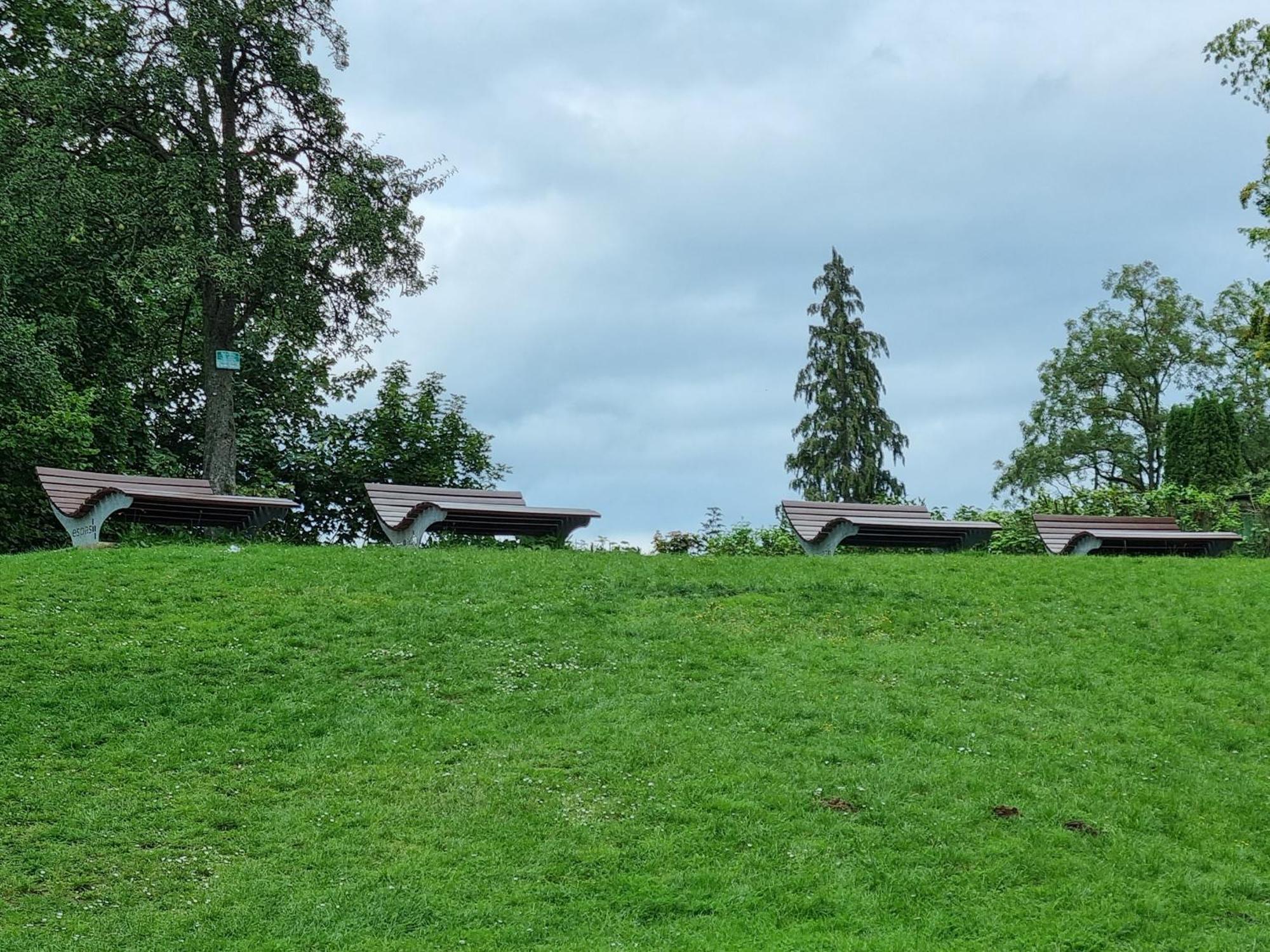 Fewo Zur Alten Tischlerei Herzberg am Harz Exteriör bild
